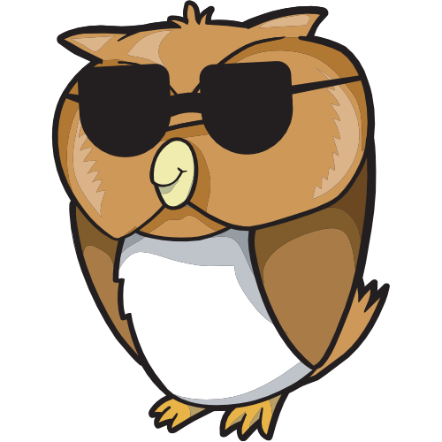 An awesome owl wearing sunglasses, ready for summer camp